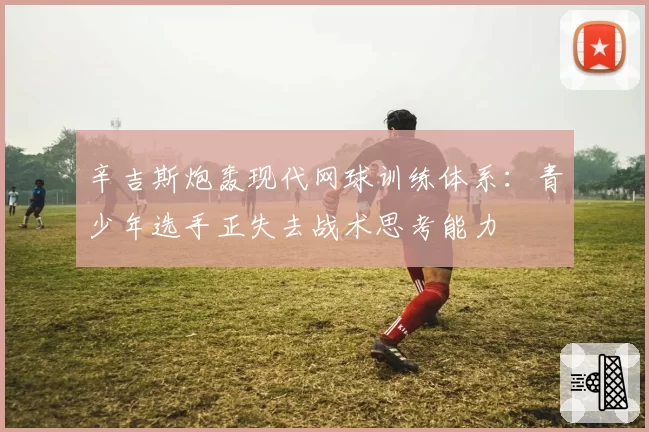 辛吉斯炮轰现代网球训练体系：青少年选手正失去战术思考能力