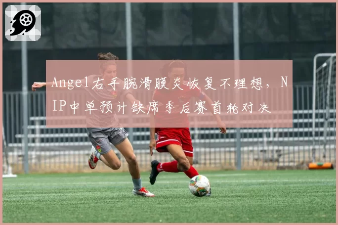 Angel右手腕滑膜炎恢复不理想，NIP中单预计缺席季后赛首轮对决